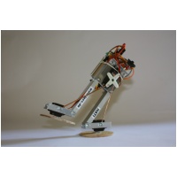 RobotHati.jpg