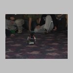 IMG_0356.jpg