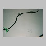 03090027.jpg